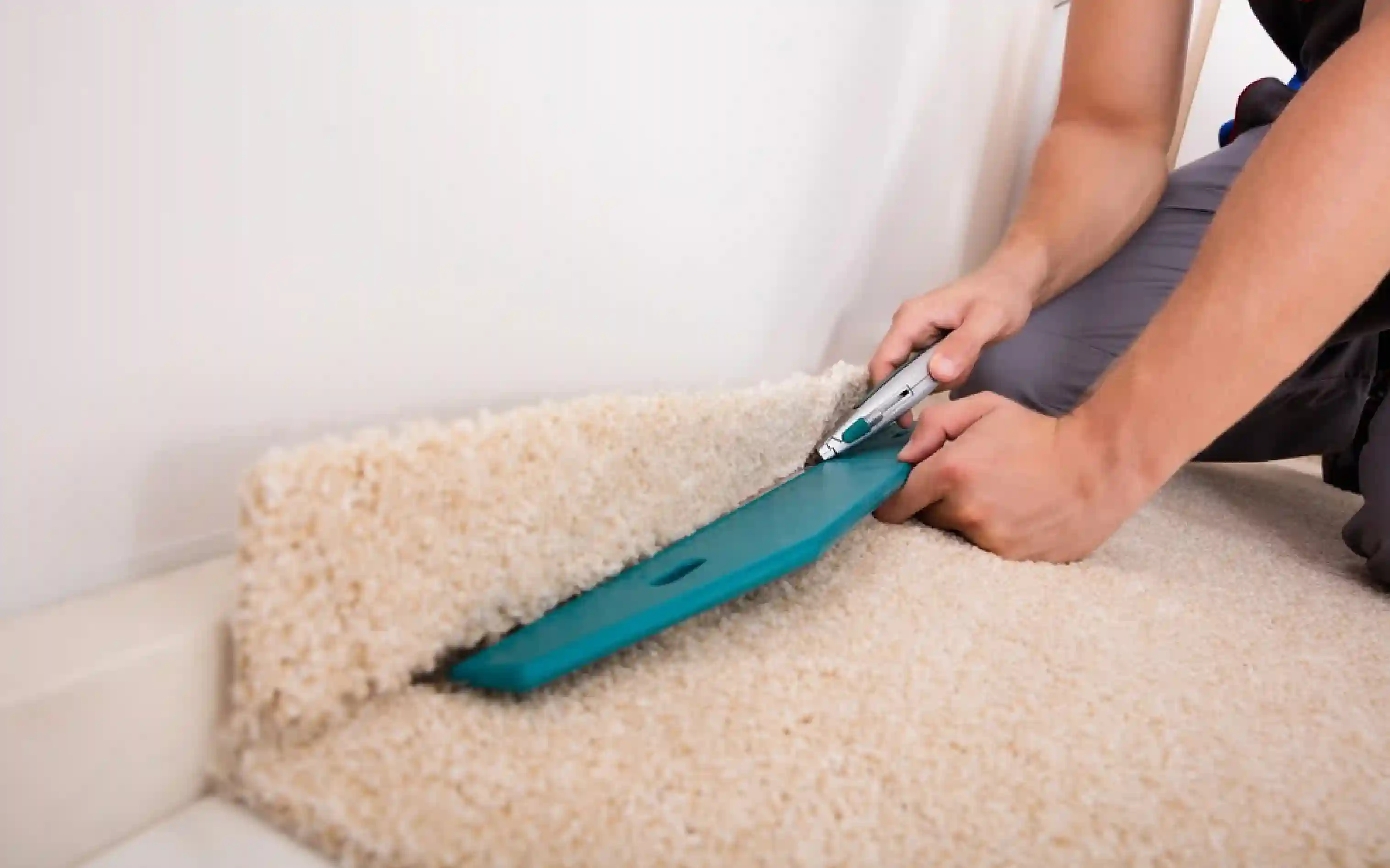 carpet cleaning, carpet cleaners, cleaning services, cleaning services in Nassau, cleaning services in Nassau, carpet cleaning in Nassau, carpet cleaning in Nassau, carpet cleaning Nassau, carpet cleaners in Nassau, carpet cleaners in Nassau, carpet cleaning services, Nassau carpet cleaning, Nassau carpet cleaning, Nassau carpet cleaners, Nassau carpet cleaning services, rug cleaning, rug cleaners, Nassau rug cleaning, Nassau rug cleaners, rug cleaning in Nassau